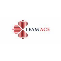 Audit Assistant at TeamAce Limited