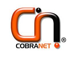 Support Engineer at Cobranet Limited