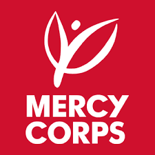 ICT Service Consultant at Mercy Corps Limited / Gte