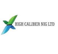 Payroll Assistant at High Caliber Nigeria Limited