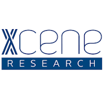 Xcene Research Trainee & Exp.Job Vacancies (11 Positions)